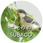 ことり